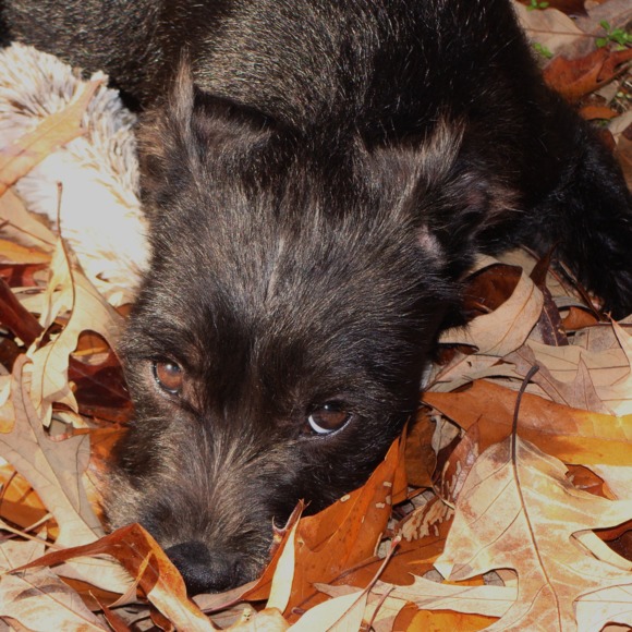 Meet your Posher, Jacqueline - Picture 1 of 3